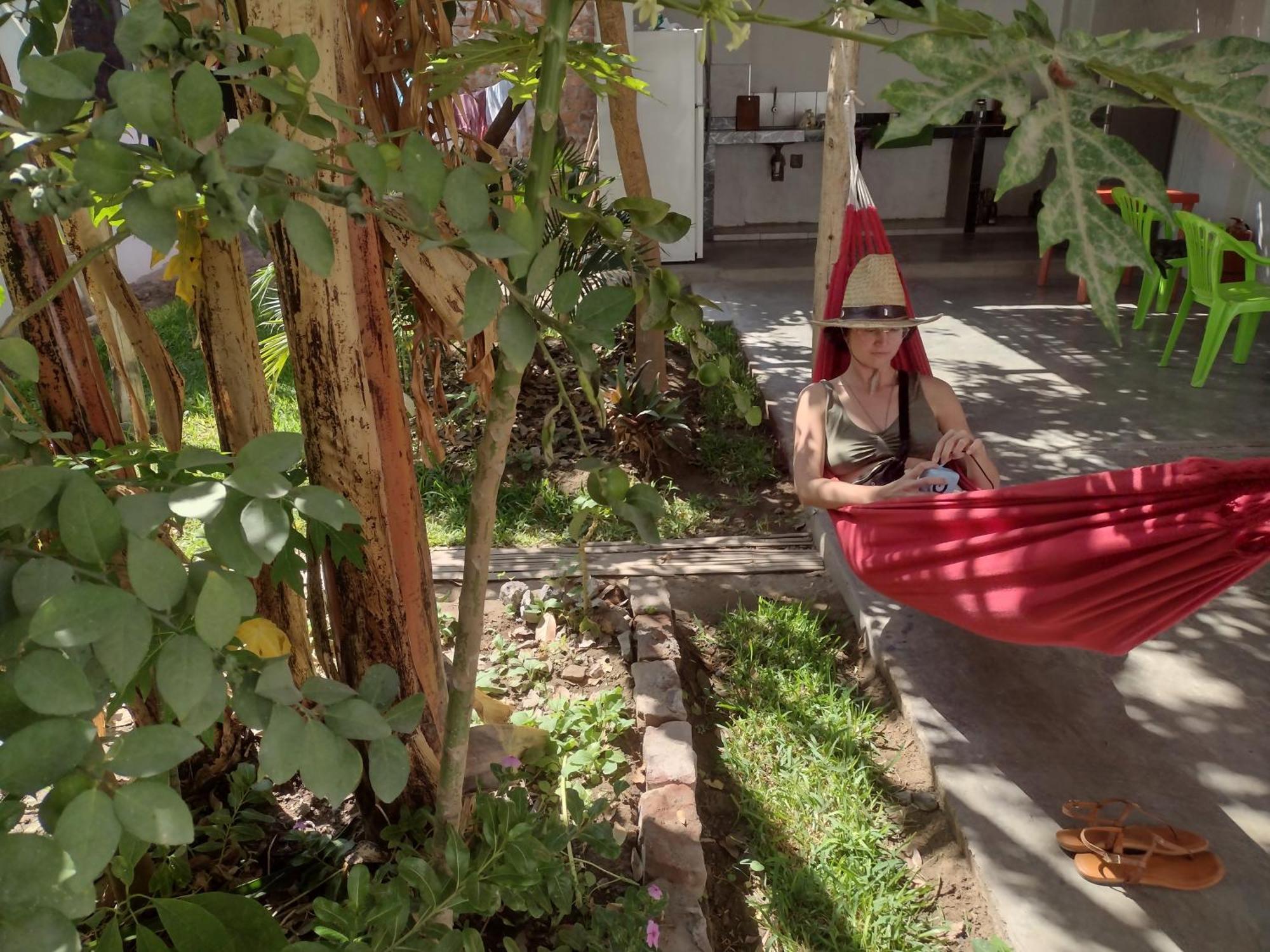 Flying Monkey Hostel Nazca Eksteriør billede